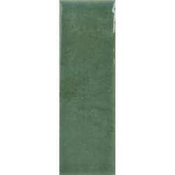 COLOUR NOTES FENNEL GLOSS 4X12,5 GAT.1 (P.105393)