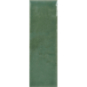 COLOUR NOTES FENNEL GLOSS 4X12,5 GAT.1 (P.105393)