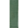 COLOUR NOTES FENNEL GLOSS 4X12,5 GAT.1 (P.105393)