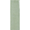 COLOUR NOTES KIWI GLOSS 4X12,5 GAT.1 (P.105397)