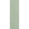 COLOUR NOTES KIWI GLOSS 4X12,5 GAT.1 (P.105397)