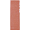 COLOUR NOTES ROSEMIST GLOSS 4X12,5 GAT.1 (P.105401)