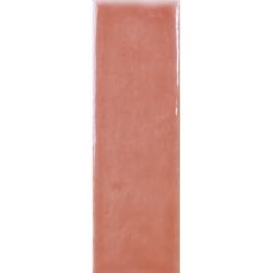 COLOUR NOTES ROSEMIST GLOSS 4X12,5 GAT.1 (P.105401)