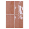 COLOUR NOTES ROSEMIST GLOSS 4X12,5 GAT.1 (P.105401)