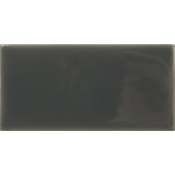 FAYENZA EBONY GLOSS...