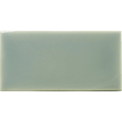 FAYENZA FERN GLOSS 6,2X12,5...