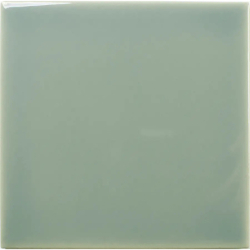 FAYENZA SQUARE FERN GLOSS...