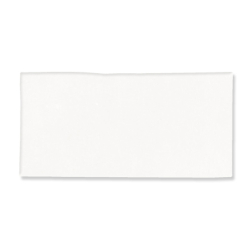 FEZ WHITE MAT 6,25X12,5 GAT.1 (P.105783)