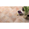 CHATEAU LINES COTTO MAT 18,5X18,5 GAT.1 (P.106103)