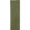 MICARE EVERGREEN LIGHT GLOSS 5X15 GAT.1 (P.106147)