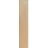 NOUVELLE BISCUIT MAT 3X16 GAT.1 (P.106195)