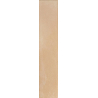 NOUVELLE BISCUIT MAT 3X16 GAT.1 (P.106195)