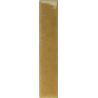 NOUVELLE DIJON GLOSS 3X16 GAT.1 (P.106199)