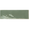 REBELS MOSS GLOSS 5X15 GAT.1 (P.106405)