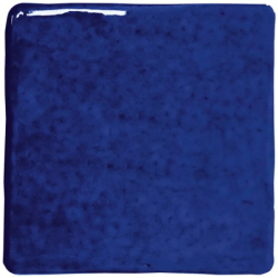 ROOTS S INDIGO GLOSS 11X11...
