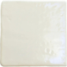ROOTS S WHITE GLOSS 11X11 GAT.1 (P.106513)