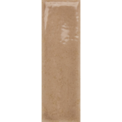 SKIN BISCUIT GLOSS 4X12,5...