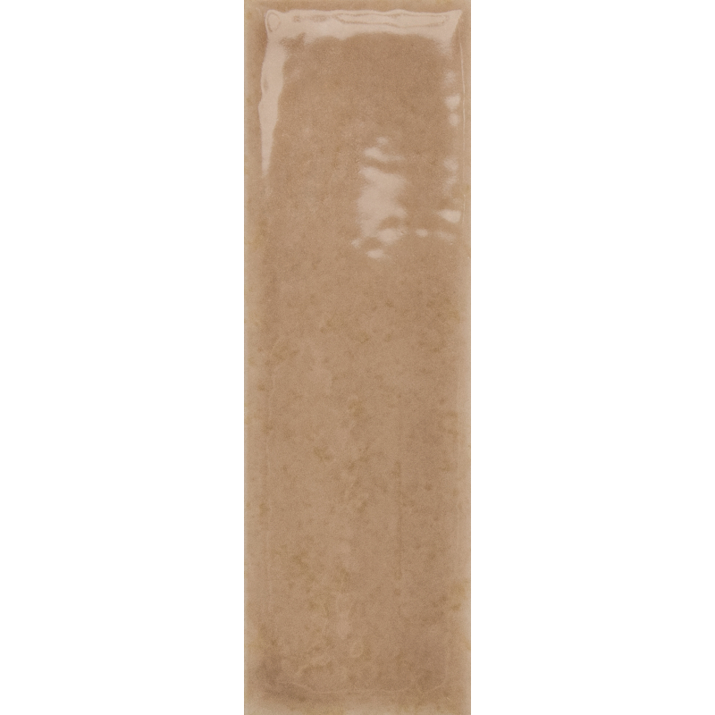 SKIN BISCUIT GLOSS 4X12,5 GAT.1 (P.106551)