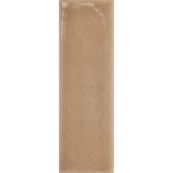 SKIN BISCUIT GLOSS 4X12,5 GAT.1 (P.106551)