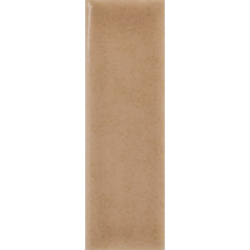 SKIN BISCUIT GLOSS 4X12,5 GAT.1 (P.106551)