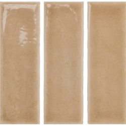 SKIN BISCUIT GLOSS 4X12,5 GAT.1 (P.106551)
