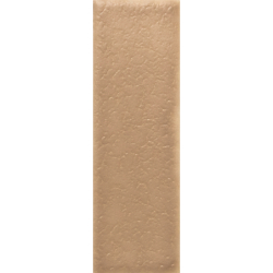 SKIN BISCUIT MAT 4X12,5...
