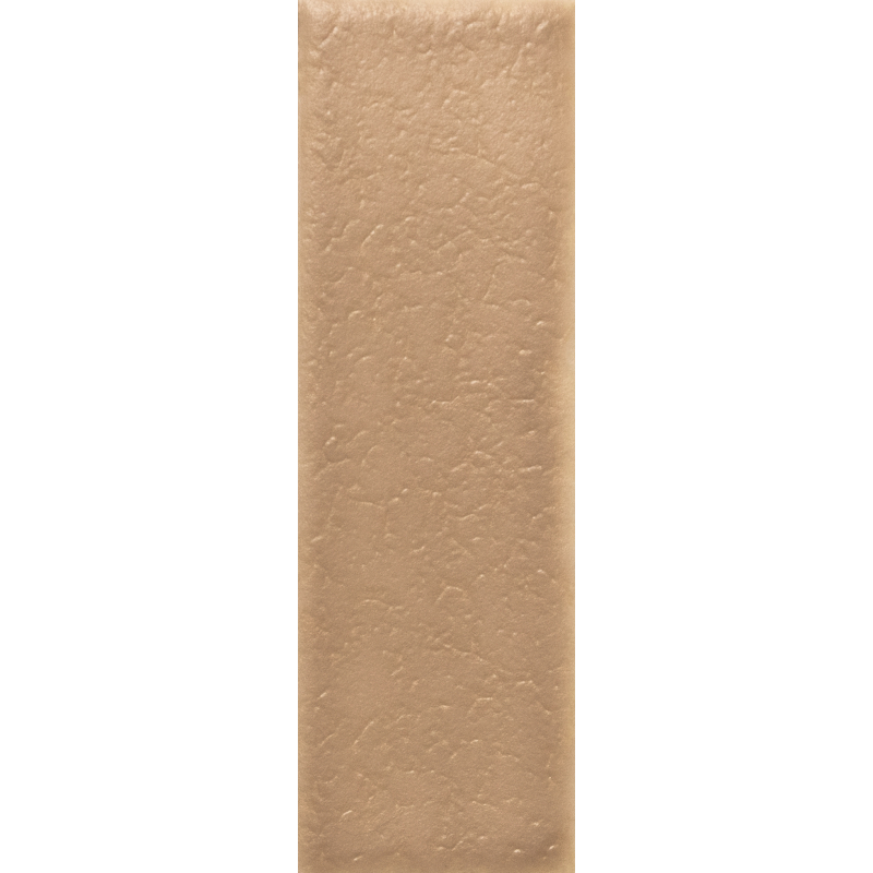 SKIN BISCUIT MAT 4X12,5 GAT.1 (P.106553)