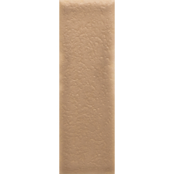 SKIN BISCUIT MAT 4X12,5 GAT.1 (P.106553)