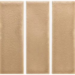 SKIN BISCUIT MAT 4X12,5 GAT.1 (P.106553)
