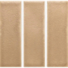 SKIN BISCUIT MAT 4X12,5 GAT.1 (P.106553)