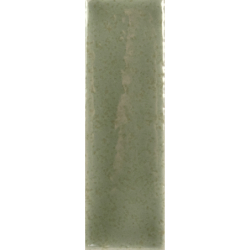 SKIN MOSS GLOSS 4X12,5 GAT.1 (P.106563)