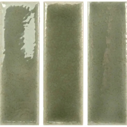 SKIN MOSS GLOSS 4X12,5 GAT.1 (P.106563)