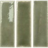 SKIN MOSS GLOSS 4X12,5 GAT.1 (P.106563)