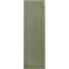 SKIN MOSS MAT 4X12,5 GAT.1 (P.106565)