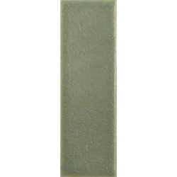 SKIN MOSS MAT 4X12,5 GAT.1 (P.106565)