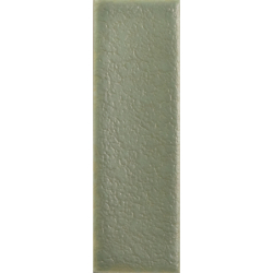 SKIN MOSS MAT 4X12,5 GAT.1 (P.106565)