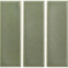 SKIN MOSS MAT 4X12,5 GAT.1 (P.106565)