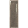 SKIN TOPO GLOSS 4X12,5 GAT.1 (P.106571)