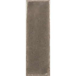 SKIN TOPO GLOSS 4X12,5 GAT.1 (P.106571)