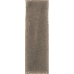SKIN TOPO GLOSS 4X12,5 GAT.1 (P.106571)