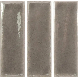 SKIN TOPO GLOSS 4X12,5 GAT.1 (P.106571)