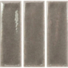 SKIN TOPO GLOSS 4X12,5 GAT.1 (P.106571)