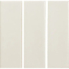 SKIN WHITE MAT 4X12,5 GAT.1 (P.106577)