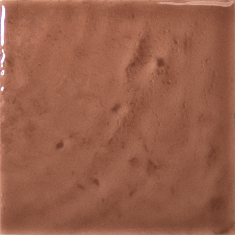 TERRE SQUARE CHESTNUT GLOSS 11,6X11,6 GAT.1 (P.106907)