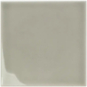 T MINT GREY GLOSS 12,5X12,5 GAT.1 (P.107075)