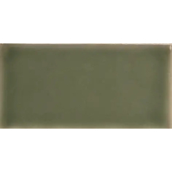 YOKO MOSS GLOSS 6,2X12,5...