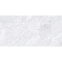 ANGELO BIANCO CARVING 60X120 REKT. GAT.1 (P.107317)