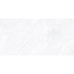 ANGELO WHITE CARVING 60X120 REKT. GAT.1 (P.107319)