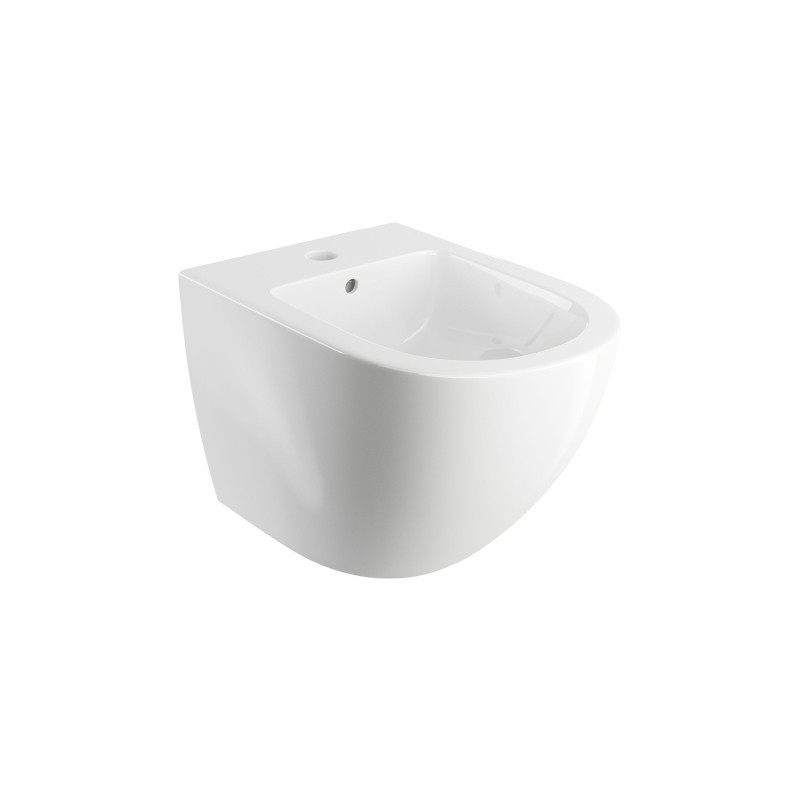 Bidet wiszący, 49 x 37 cm, biały połysk OTTAWA OMNIRES OTTAWABIBP