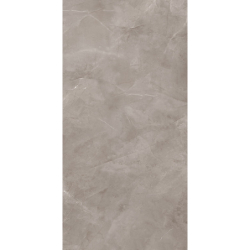 Harmonic grey 239,8x119,8...
